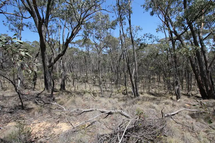 Fifth view of Homely land listing, Lot 14a Finnigans Lane, Beaufort VIC 3373