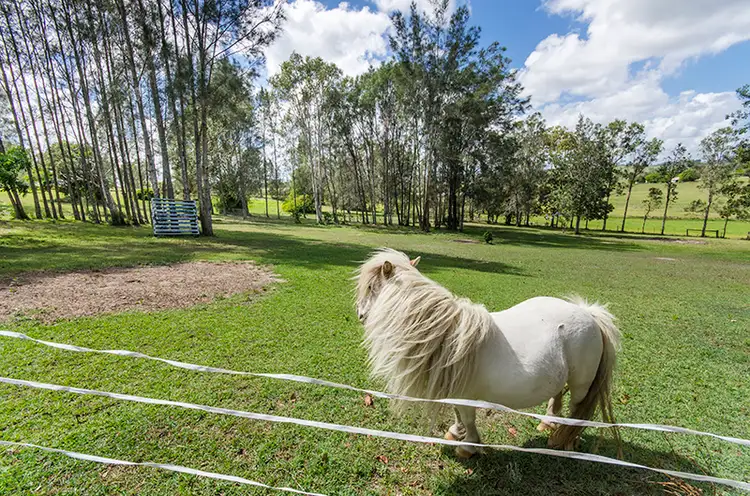 Fourth view of Homely house listing, 22 Swan Hill Drive, Waterview Heights NSW 2460