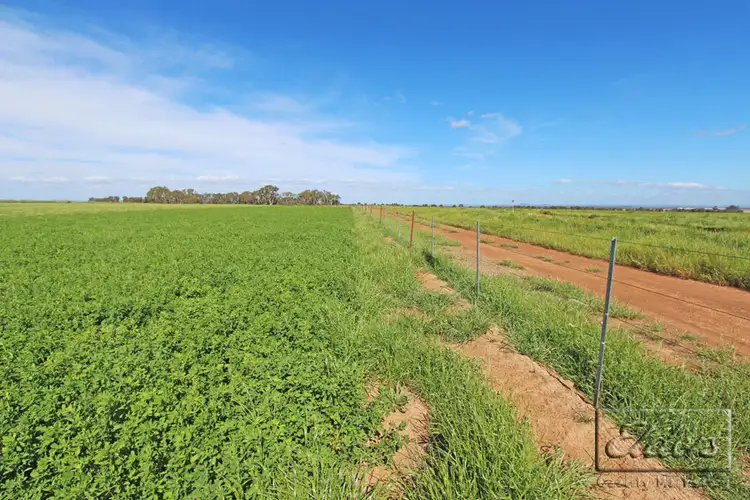 Seventh view of Homely rural property listing, 0 Pyrenees Highway, Carisbrook VIC 3464