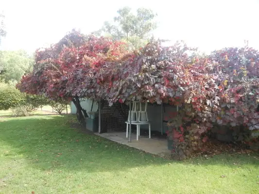 Second view of Homely house listing, 33 Lachlan Street, Young NSW 2594
