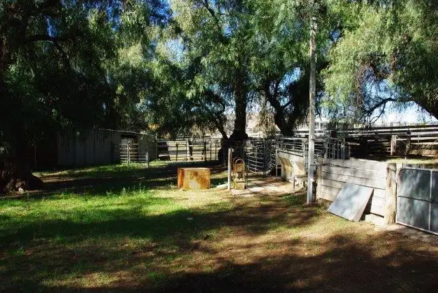 Fifth view of Homely rural property listing, 23 TOLGA WAY, Mumbil NSW 2820