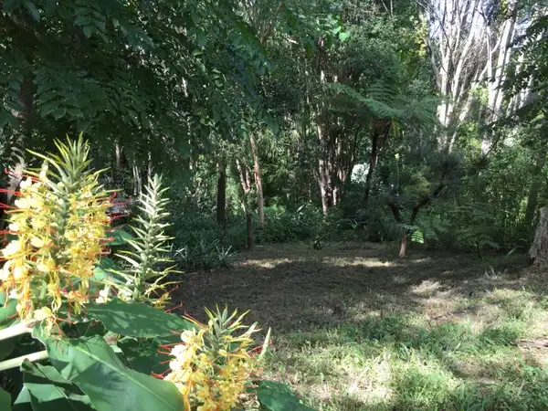 Seventh view of Homely house listing, 7 Sunrise Place, Uki NSW 2484