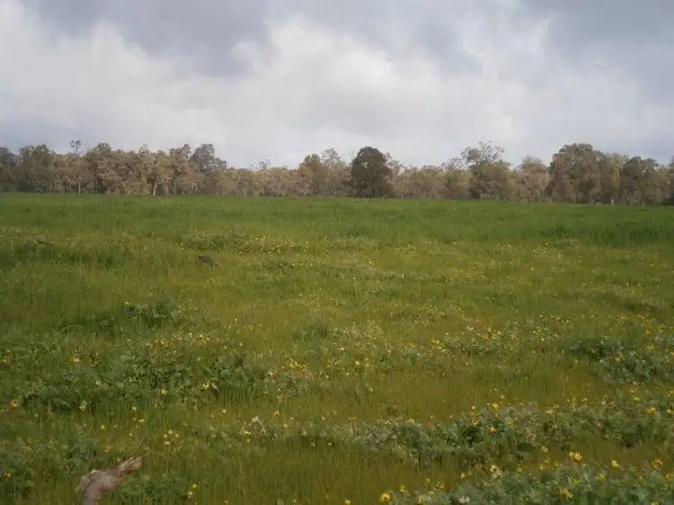 Second view of Homely rural property listing, 4508 Donnybrook Boyup Brook Rd, Noggerup WA 6225