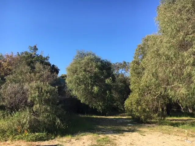 69A Norfolk Street, Dunsborough WA 6281