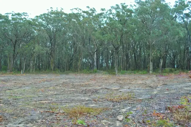 Second view of Homely land listing, 31 Pine Tree Road, Wingello NSW 2579