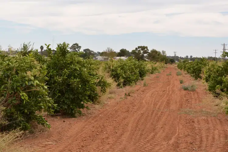 Second view of Homely rural property listing, 358 Boomerang Avenue, Cardross VIC 3496