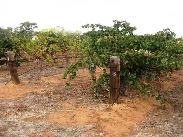 Seventh view of Homely rural property listing, Lot 628 Square Mile Road, Clare SA 5453