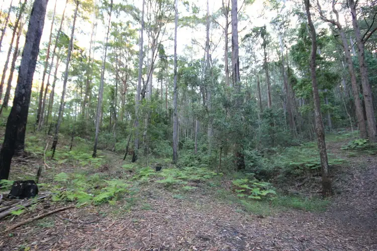 Sixth view of Homely land listing, 25 Caringal Drive, Middle Brother NSW 2443