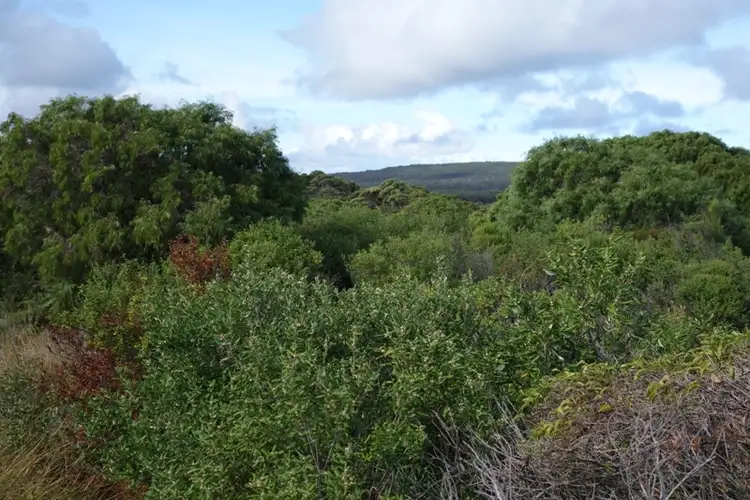 Second view of Homely rural property listing, Lot 29 Caves Road, Deepdene WA 6290
