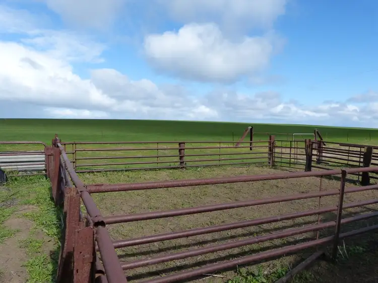 Fifth view of Homely rural property listing, 973 Bews Nth Rd, Lameroo SA 5302