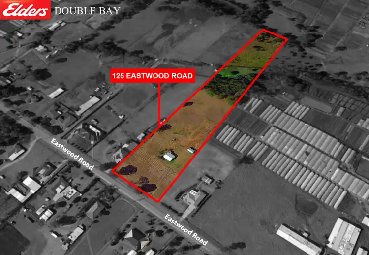 Main view of Homely house listing, 125 Eastwood Road, Leppington NSW 2179