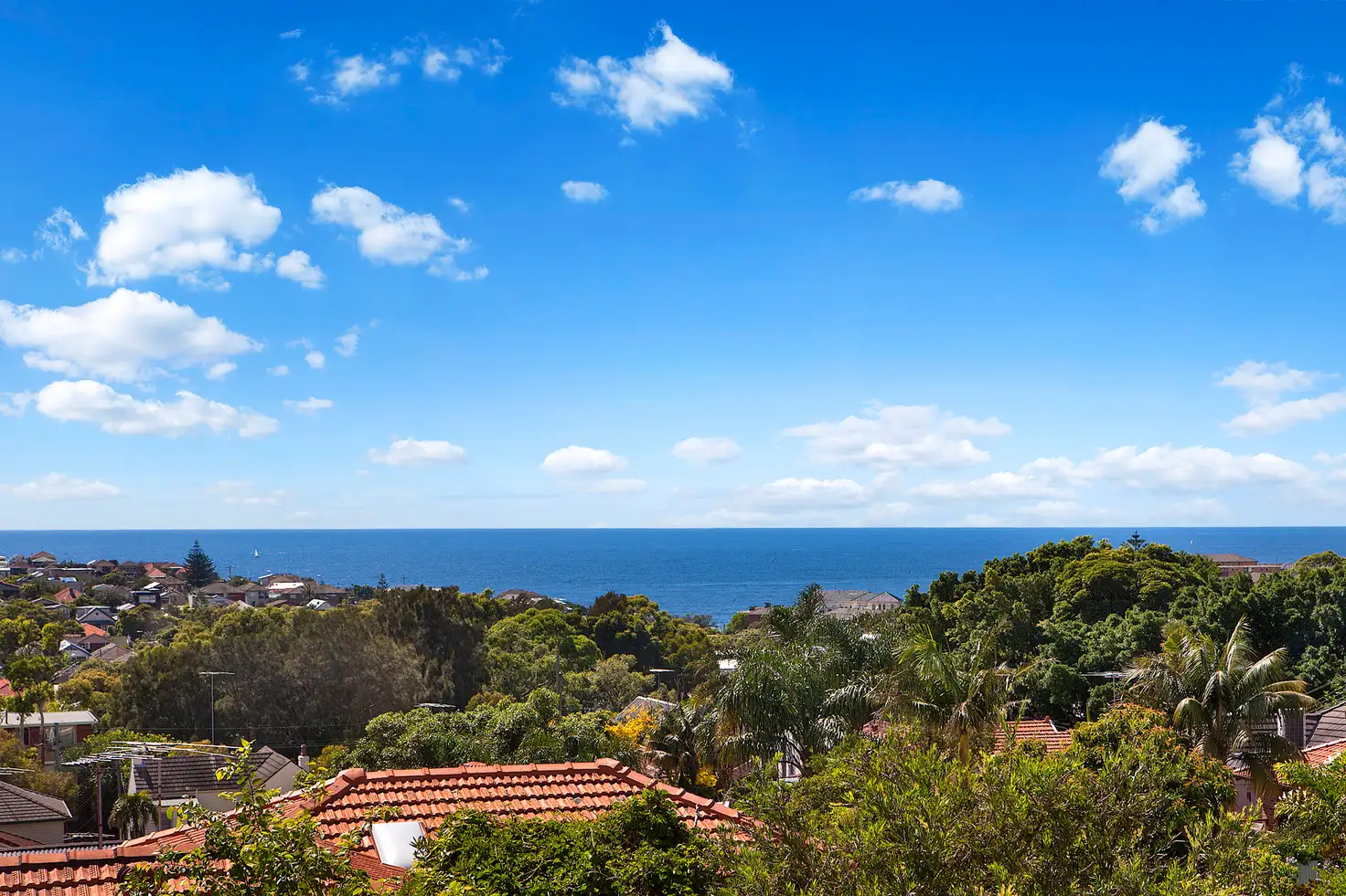 Main view of Homely house listing, 29 Knox Street, Clovelly NSW 2031