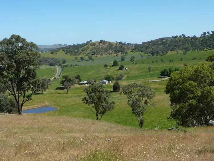 Main view of Homely rural property listing, 3000 Westbrook Road Tarcutta via, Wagga Wagga NSW 2650