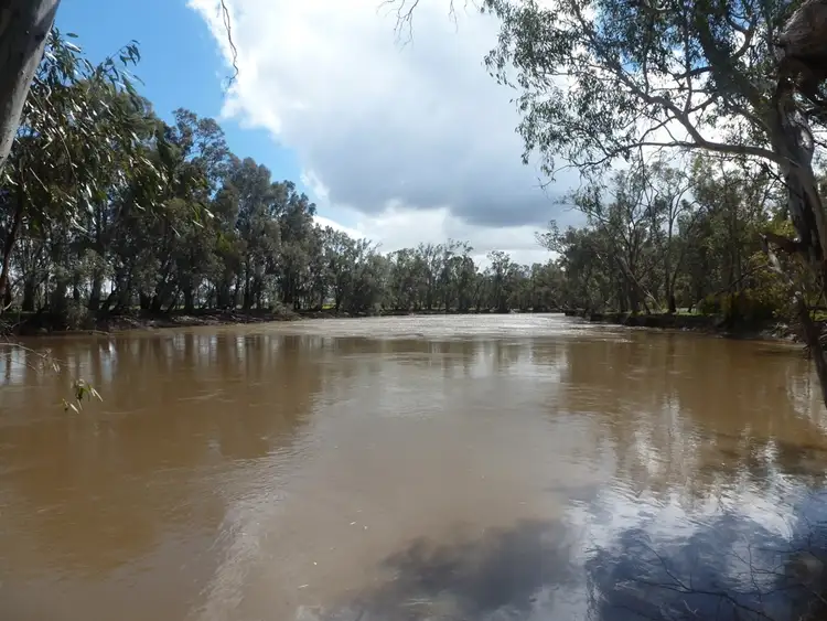 Sixth view of Homely rural property listing, 0 Koraleigh Road, Koraleigh NSW 2735