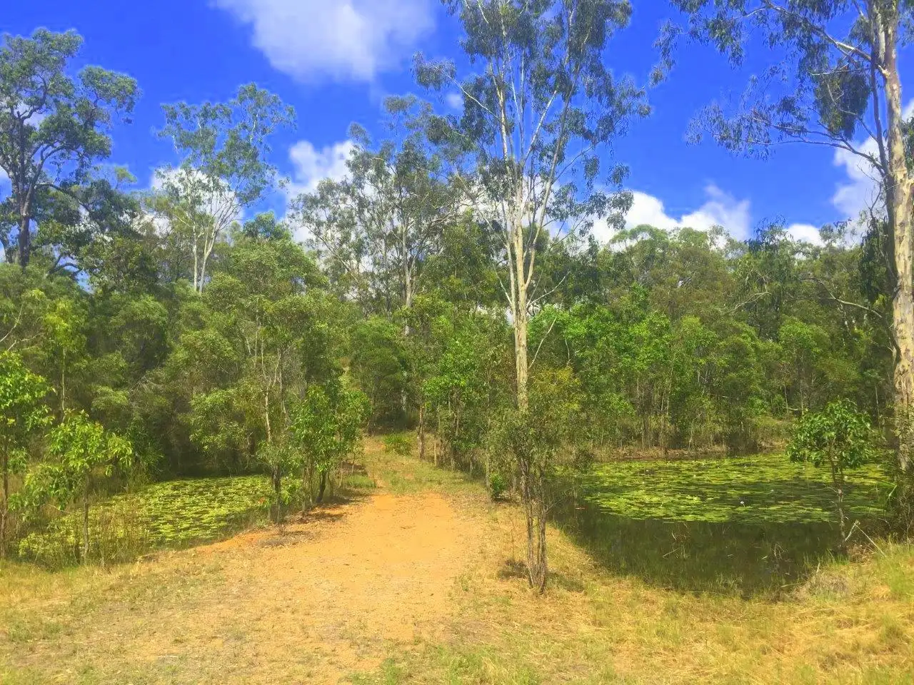 Main view of Homely land listing, Address available on request
