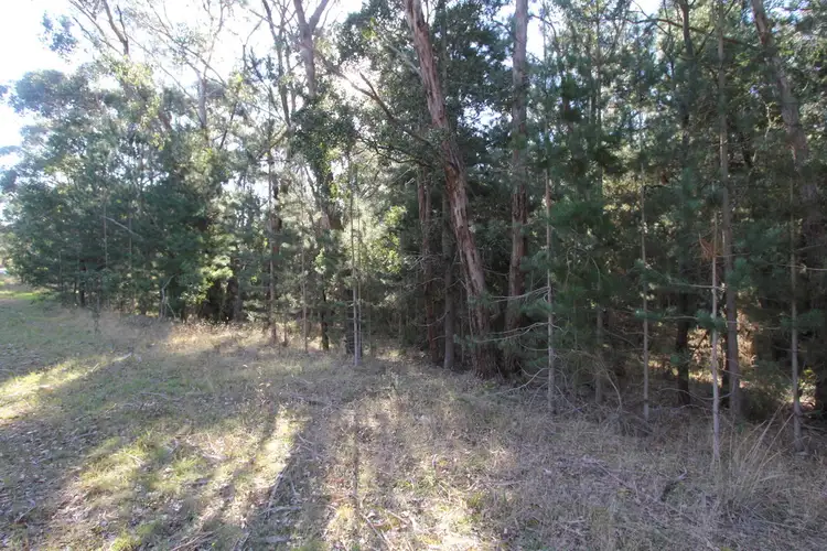 Lot 4 Glenelg Highway, Scarsdale VIC 3351