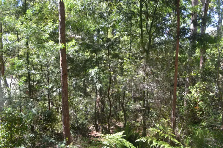 Fifth view of Homely land listing, 73 Frederick Street, Vincentia NSW 2540