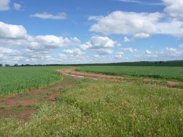 Fifth view of Homely rural property listing, Lot 802 Parker Road, York WA 6302