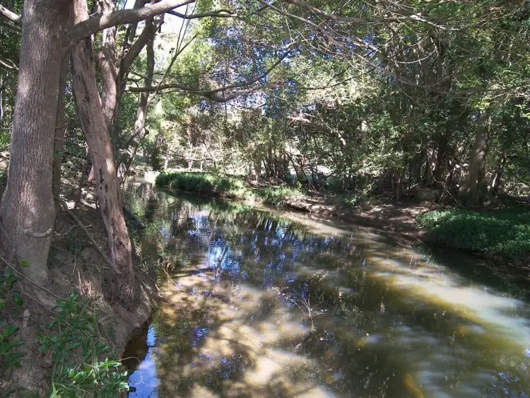 Third view of Homely rural property listing, 59 Crabbes Creek Rd, Crabbes Creek NSW 2483