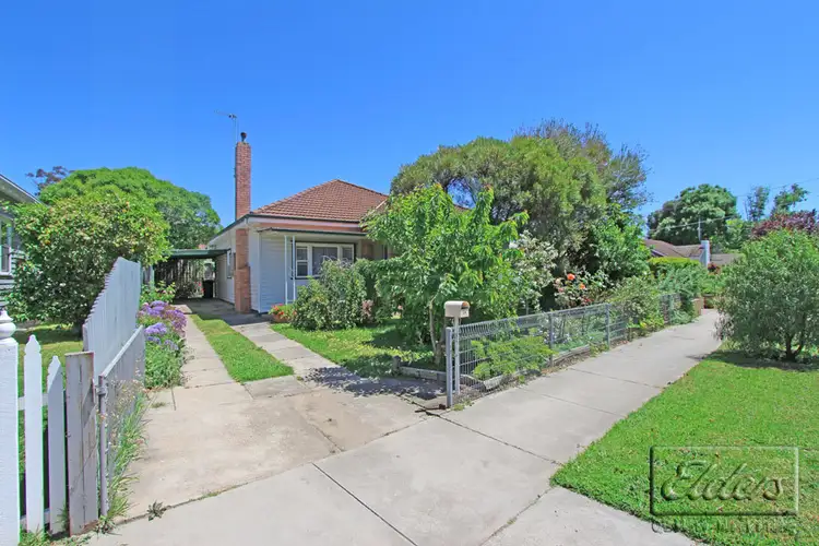 Main view of Homely house listing, 24 Havlin Street West, Bendigo VIC 3550