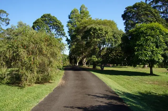 Seventh view of Homely house listing, 2 Browns Drive, Cooroy QLD 4563