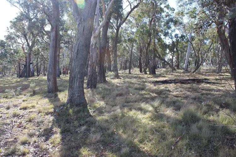 Third view of Homely land listing, Lot1/255 Cartwright Street, Rydal NSW 2790