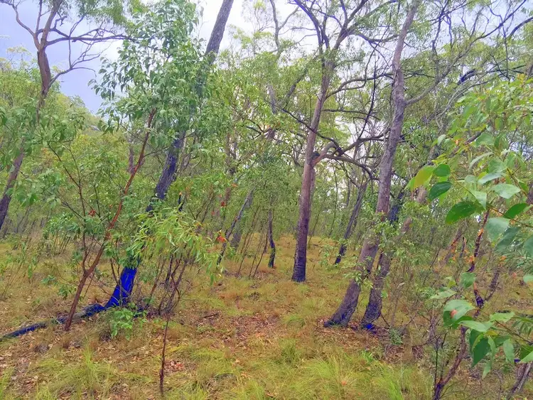 Seventh view of Homely land listing, 235 Murphy Road, Captain Creek QLD 4677