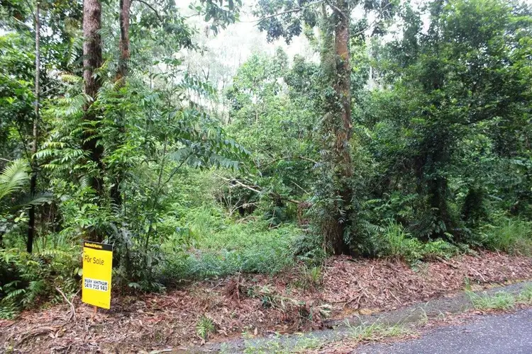 Third view of Homely land listing, 75 Forest Creek Road FOREST CREEK, Daintree QLD 4873