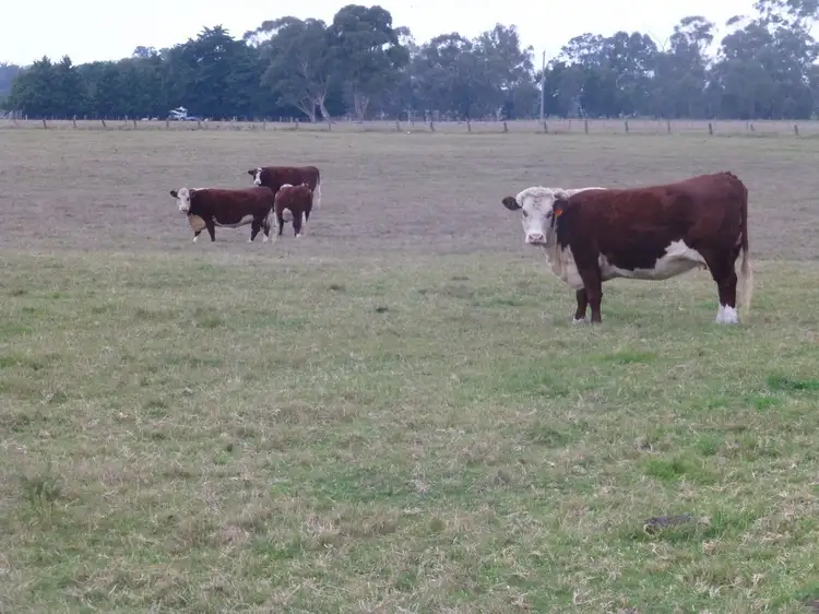 Third view of Homely rural property listing, CA 6 Section D Parish of Nindoo, Fernbank VIC 3864
