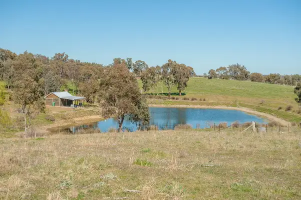 Fourth view of Homely rural property listing, 225 & 228 Huntleigh, Young NSW 2594