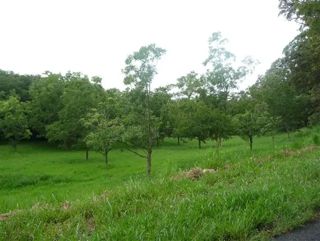 Sixth view of Homely land listing, 391 Dr Pages Road, Kin Kin QLD 4571