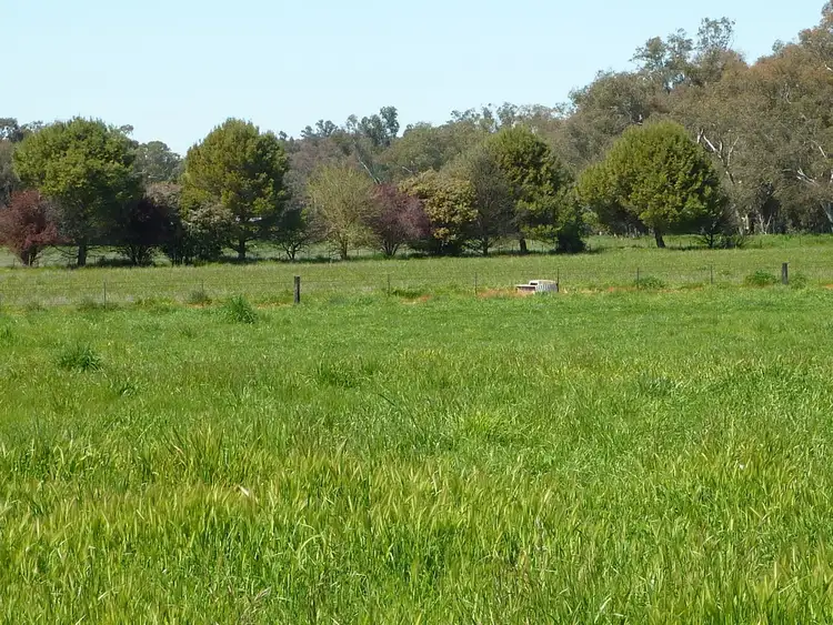 Sixth view of Homely rural property listing, 56 Kyeamba St Ladysmith via, Wagga Wagga NSW 2650