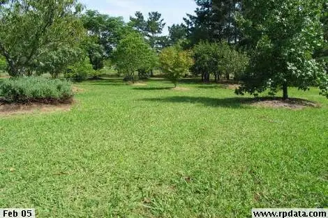 Third view of Homely rural property listing, 23 Gurner Avenue, Austral NSW 2179