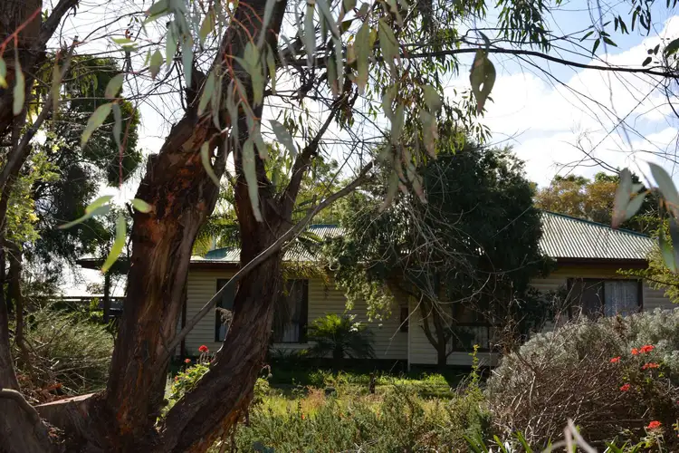 Fifth view of Homely house listing, 1005 Malaya Road, Robinvale VIC 3549