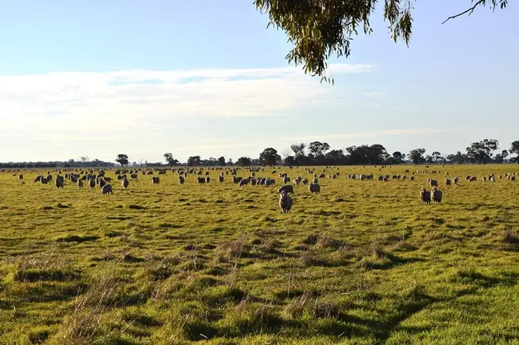 Second view of Homely rural property listing, 7216 Riverina Highway, Corowa NSW 2646