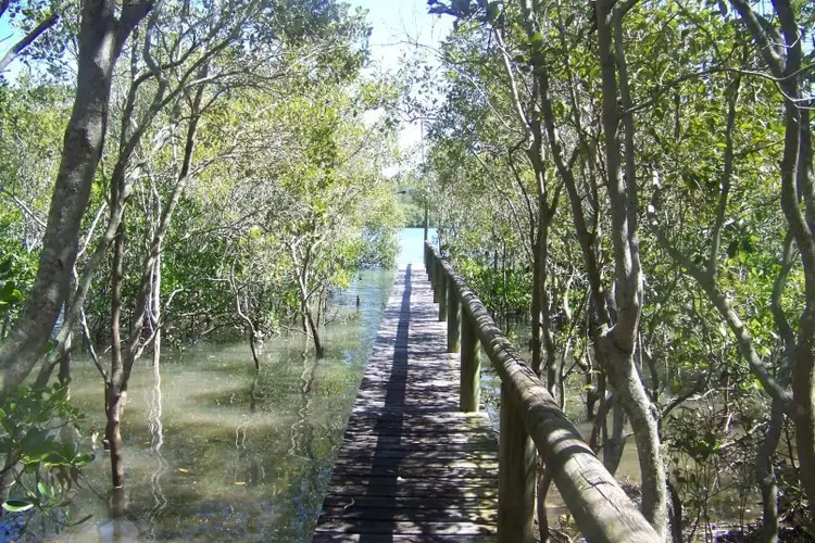 59 PIER HAVEN, Lamb Island QLD 4184