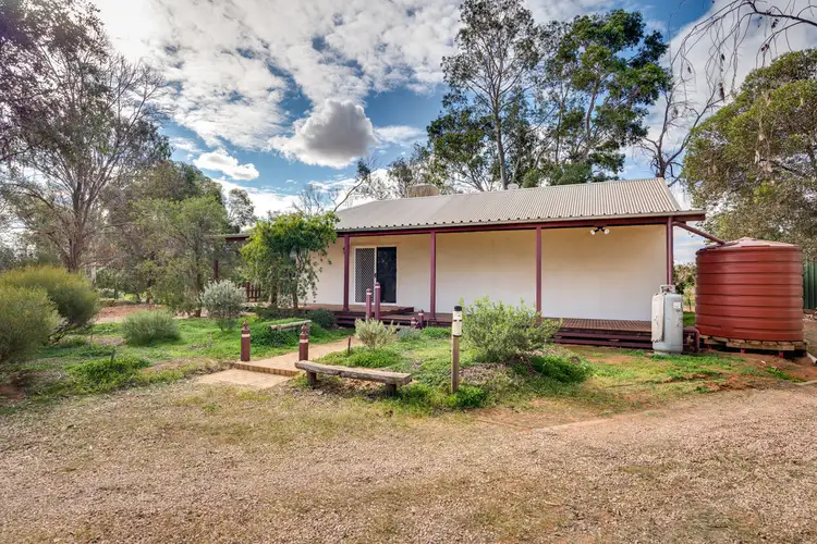 Second view of Homely rural property listing, 219 DAIRTNUNK AVENUE, Irymple VIC 3498