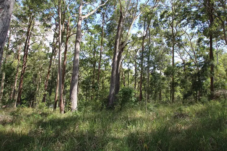 Third view of Homely land listing, 43 First Ridge Road, Smiths Lake NSW 2428