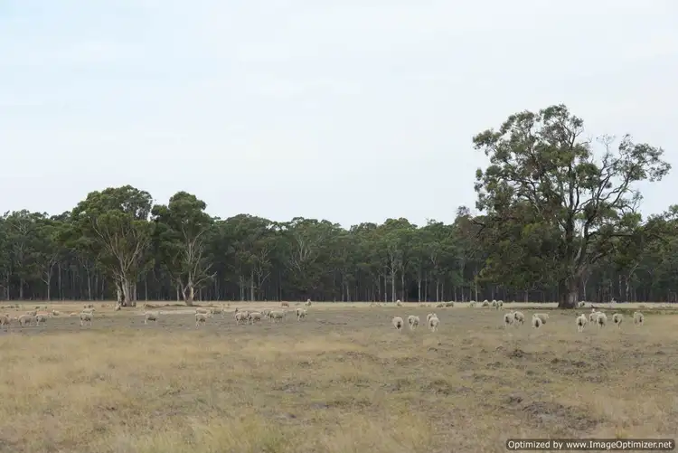 Second view of Homely rural property listing, 690 Andersons Lane, Hillside VIC 3875
