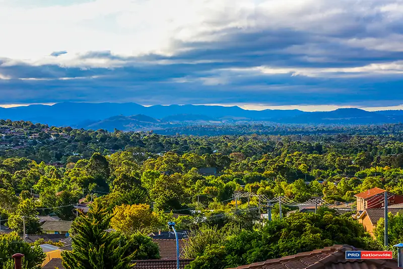 Main view of Homely house listing, 41 Freda Gibson Circuit, Theodore ACT 2905