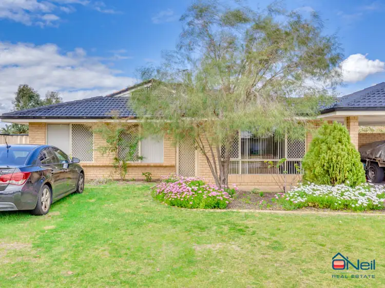 Second view of Homely house listing, 105 Woodbridge Drive, Cooloongup WA 6168