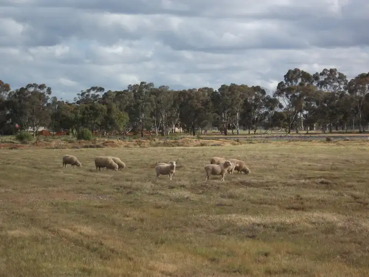 Third view of Homely land listing, Lot 953 Mitchell Lane, Griffith NSW 2680