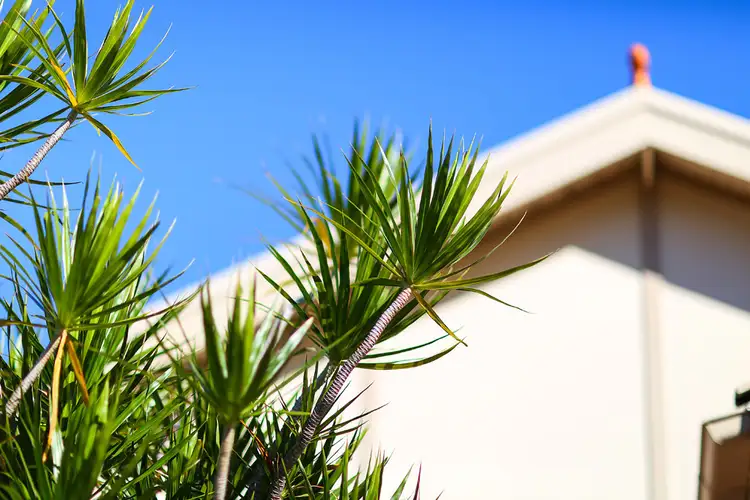 Second view of Homely house listing, 68 Flavelle Street, Concord NSW 2137