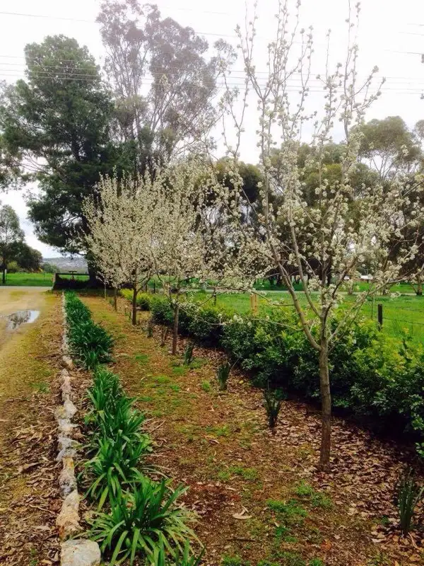 Sixth view of Homely house listing, 79 Mitchell Road, Lake Albert NSW 2650