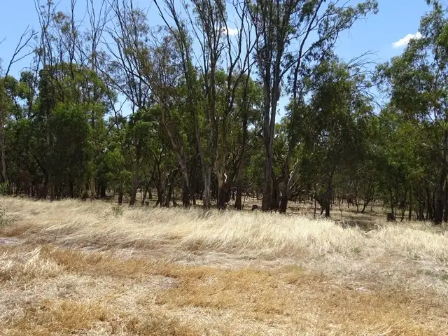 Fourth view of Homely rural property listing, Lot 2 Moorabinda Road, Torrumbarry VIC 3562