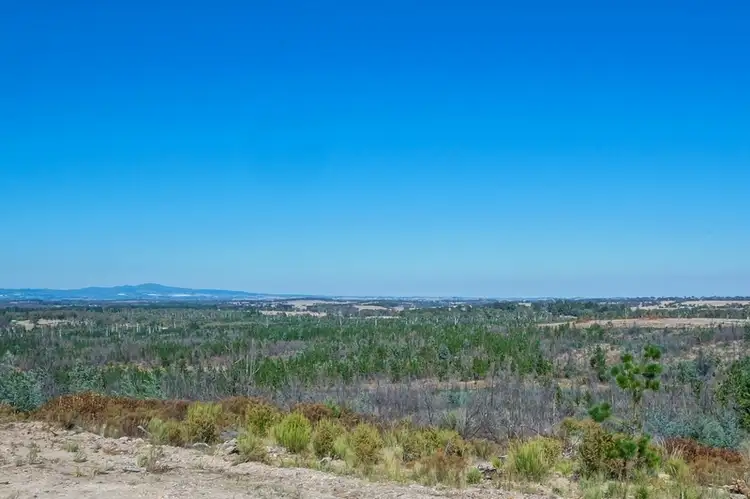 Second view of Homely rural property listing, Lot 206 Kjollers Road, Orange NSW 2800