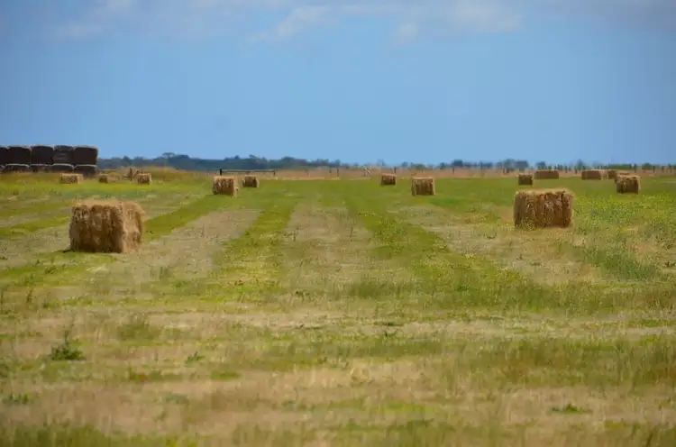 Third view of Homely rural property listing, Lot 101 Sneyd Island Road, Millicent SA 5280