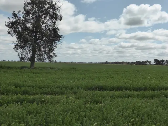 Fifth view of Homely rural property listing, | Kweong |, Finley NSW 2713