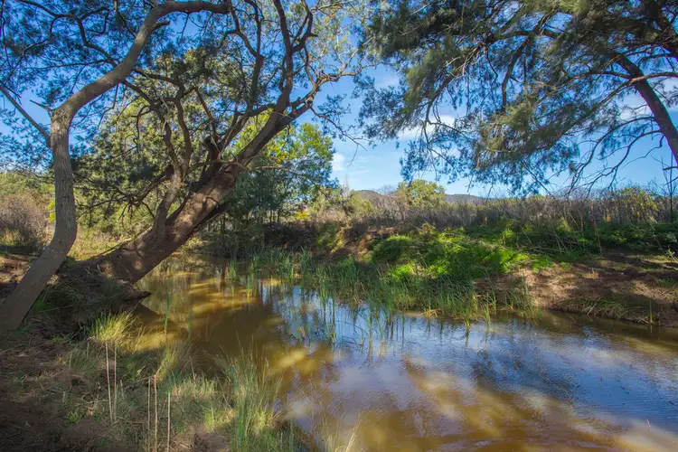 Fifth view of Homely rural property listing, 77 THOMPSONS RD, Milbrodale NSW 2330