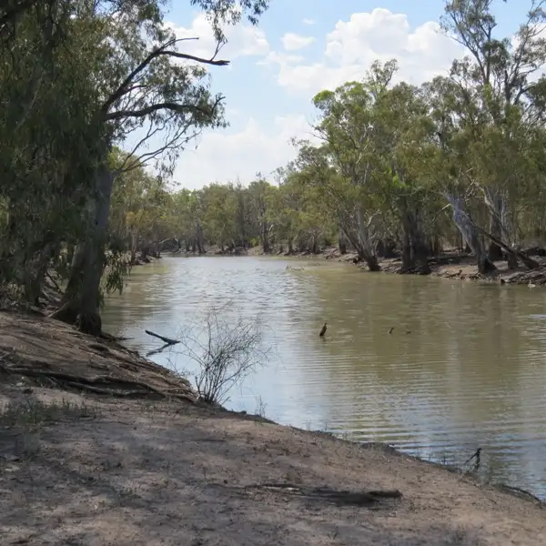 Third view of Homely rural property listing, 6480 Barham/Deniliquin Road, Barham NSW 2732